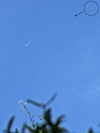 Venus in Daylight (click to enlarge)